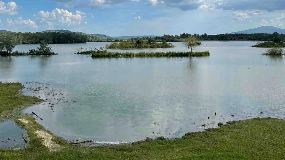 Il lago di Alviano con isolotti di canneto e alberi: l'Oasi WWF sotto un cielo con nuvole